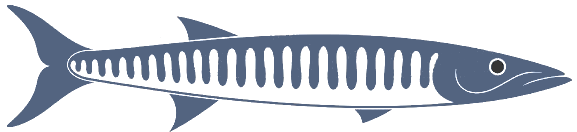 Maine Libraries Barcode Barracuda