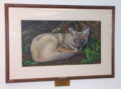 Coyote
by Sanford Art Association member Lawrence C. Sherburne (1991)
