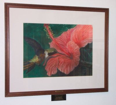 Bahama Woodstar and Hibiscus
by Lawrence C. Sherburne (1994)
